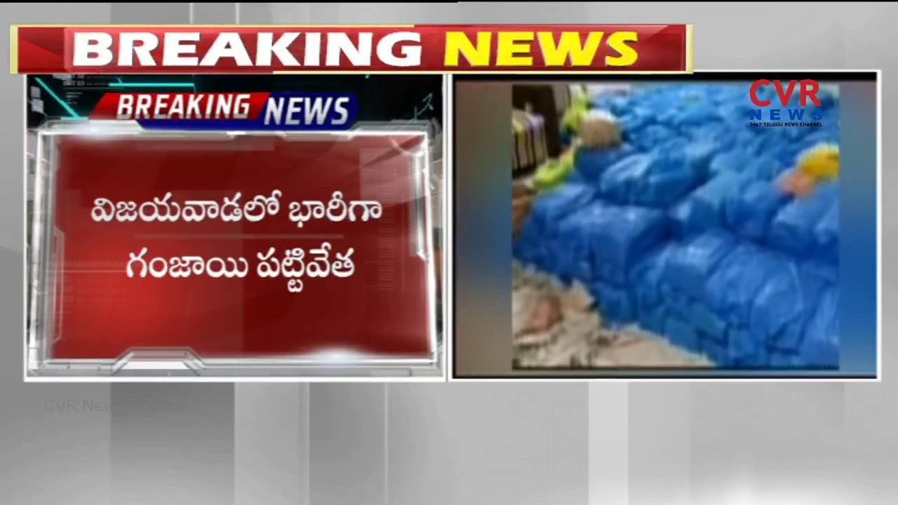 Task Force Police Busted Ganja Gang in Vijayawada | CVR NEWS - YouTube