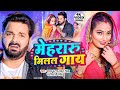      pawan singh  mehraru milal gaay  shivani singh  new bhojpuri song