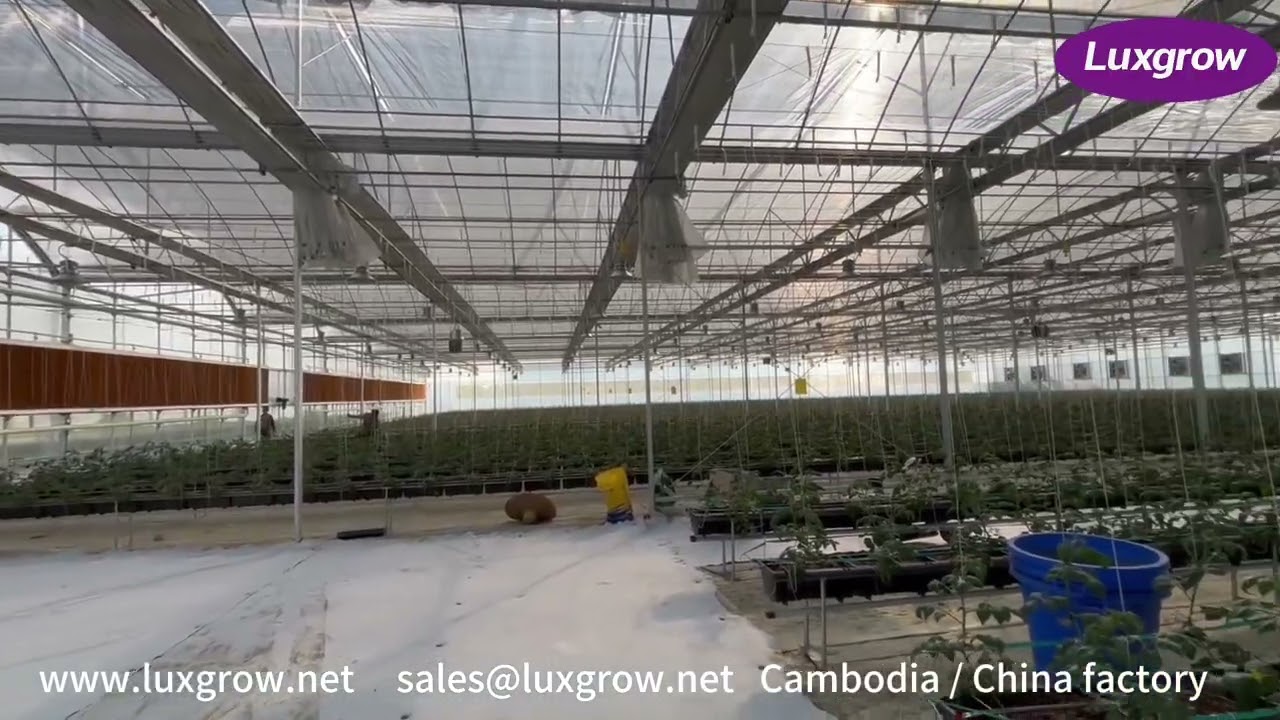 Vertical Farming Greenhouse Grow Light System case