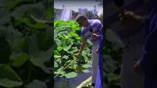 Echo Park&#39;s All Natural Fountain | Visiting with Huell Howser | KCET