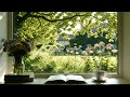 quiet little moments 🍃 soft piano for deep focus, studying &amp; cozy mornings #17