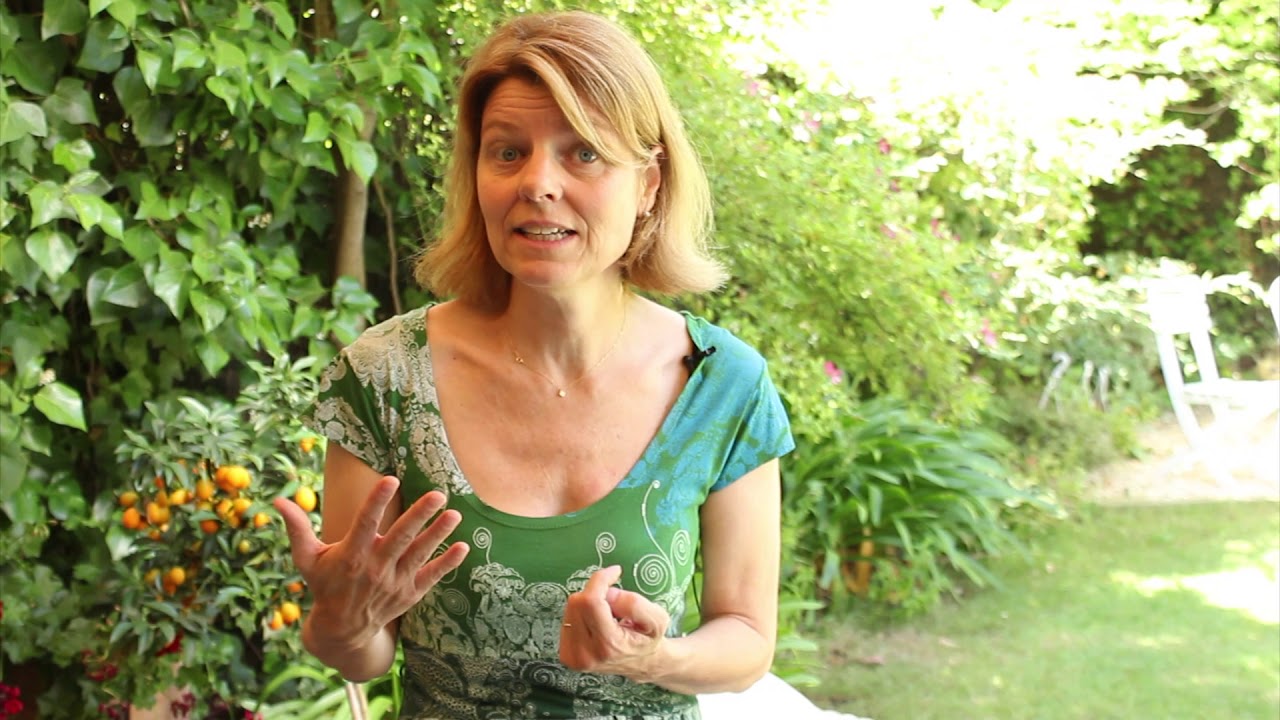 Los módulos del Jardín Terapéutico