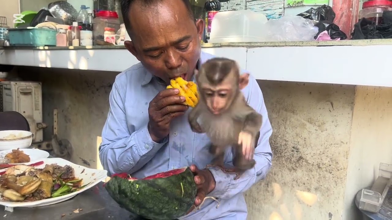 Mommy takes Mary to clean up #animals #monkey #mary