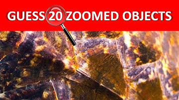 GUESS 20 ZOOMED OBJECTS | Zoom game | Game show | Zoomed guessing game