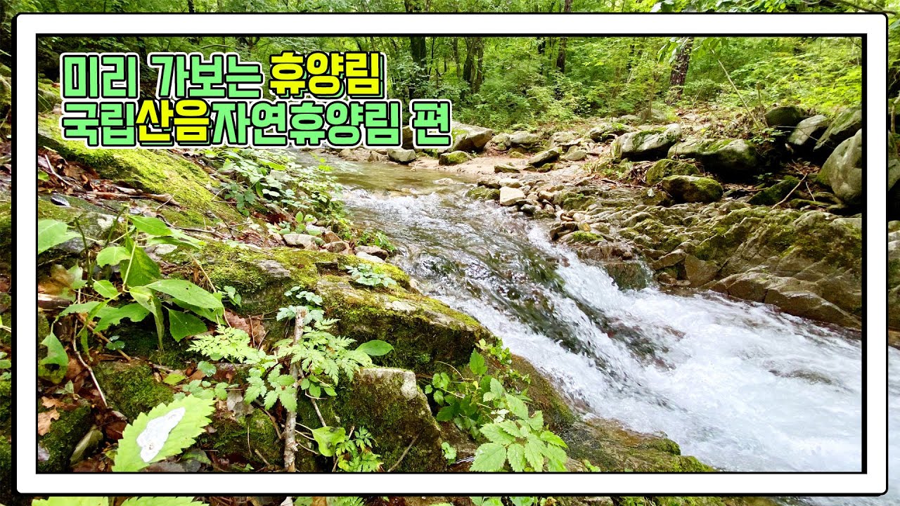 미리 가보는 휴양림 : 국립산음자연휴양림 편