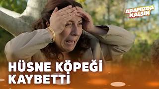 Kaplan Kayboluyor Aramızda Kalsın En İyi Sahneler