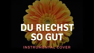 Rammstein - Du Riechst so Gut Instrumental Cover (Live version)