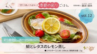 動画のサムネイル