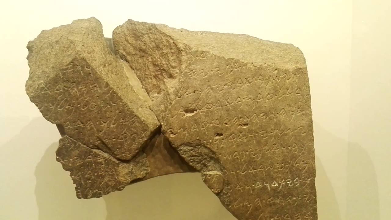 ××× ×××× - ××¢×××ª ×××¨××××××××ª ×××××× ××¢××× ××§×××× - ××ª×××ª '×××ª ××× ...