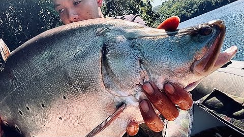 6 Days Ngủ Rừng Câu Trúng Con Cá 13 Nút Rồi / Fishing Untamed Nature Bushcraft