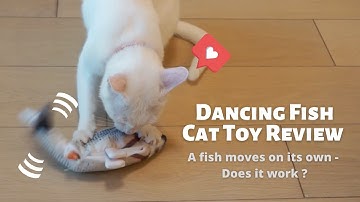 Dancing Fish Cat Kicker Toy Review - Keeping your cat active!