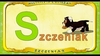 Multipedia Zwierząt. Litera S - Szczeniak