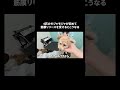 4匹のモジャモジャが初めて筋膜リリースを受けるとこうなる【多頭飼い】 ♯shorts