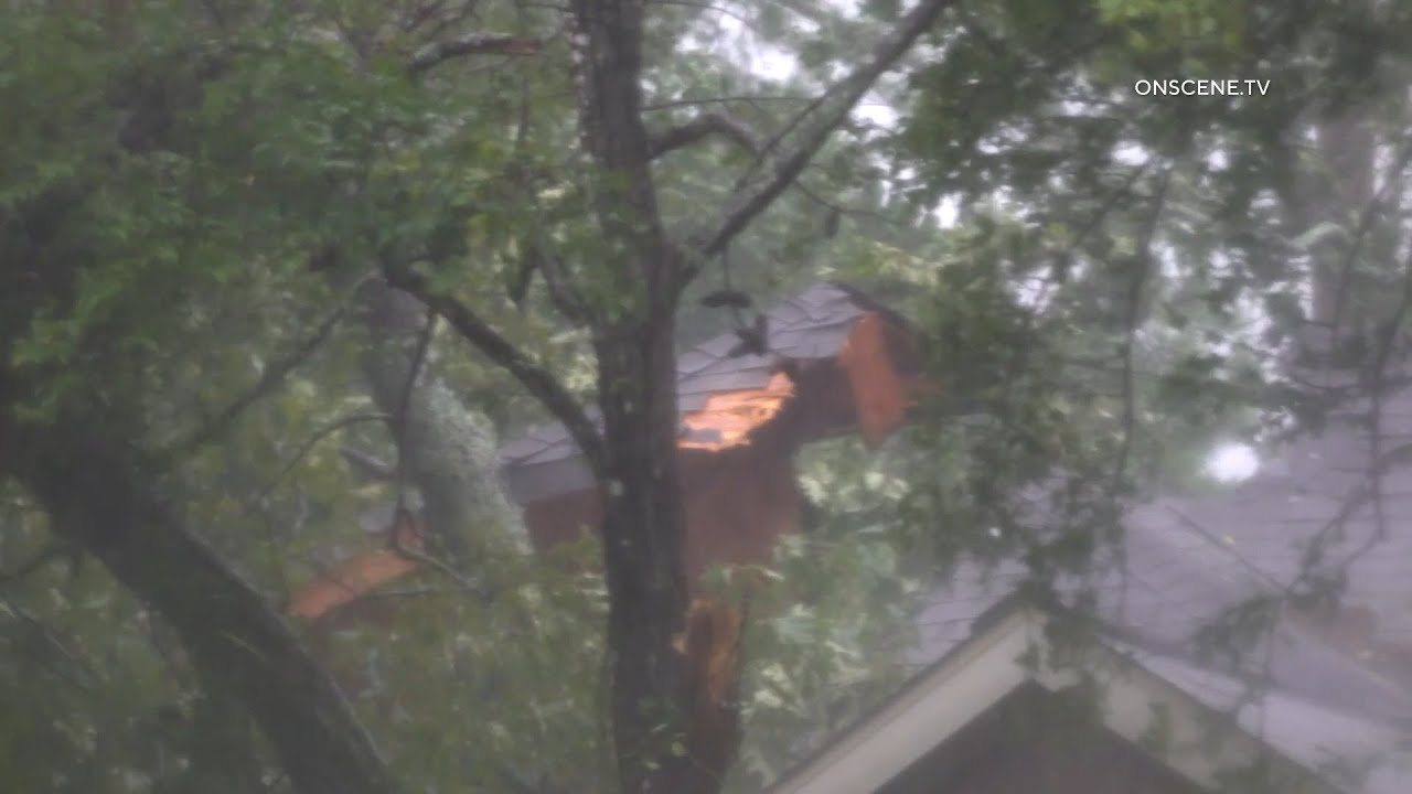One Person Dead After Tree Falls on Home - YouTube