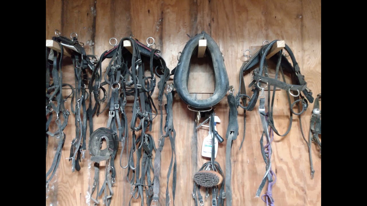 Miniature Horses Team Harness Hung In Barn YouTube