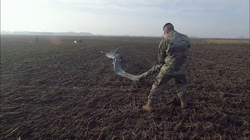 We are U.S. Army Garrison Benelux