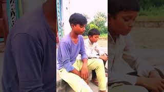 Dog Lover Comedy Video Dog Funny Video