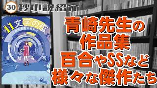 手数の多さと作風の幅がすごい傑作集｜|『１１文字の檻』