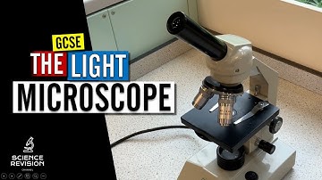 GCSE Science Biology (9-1) -  How to use a microscope - Microscopy Required Practical