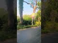 #today Long drive video#shortclips #subscribe