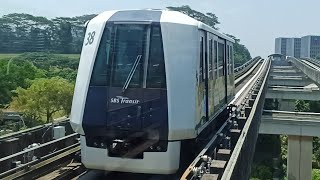[Advertisment] C810 set 38 from Punggol to Sam Kee