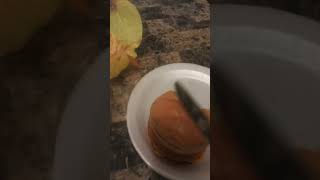 Shadow And Sonic Eating Mcdonalds