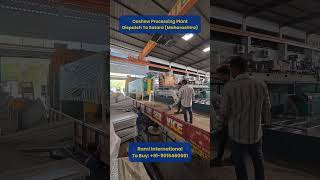 Cashew Processing Plant Dispatch To Satara (Maharashtra)🚚 Rami International: 9016406661