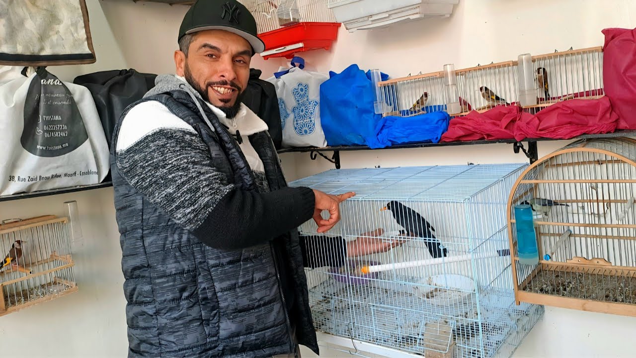 زيارة عند عادل 🔥 ورانا طيور لعندو 🐦  بالدار البيضاء2026🇲🇦 