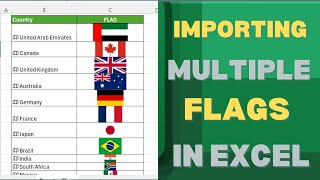 How to Import Country Flags Automatically in Excel