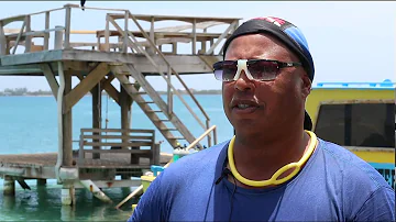 Why go to Utila Dive Centre for training? Testimonial videos from former students