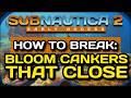 Subnautica 2 How to Break Bloom Cankers That Close