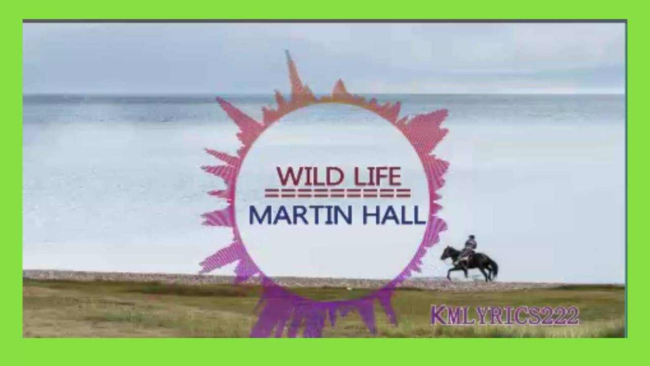 Wild Life Martin Hall [Indie Pop] YouTube