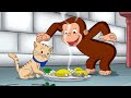 秘密のネコシェフ 🐵 おさるのジョージ
