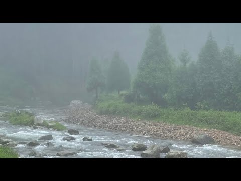 Ka Ktien Lajong Ka Bor Ka Sor Jong Ngi