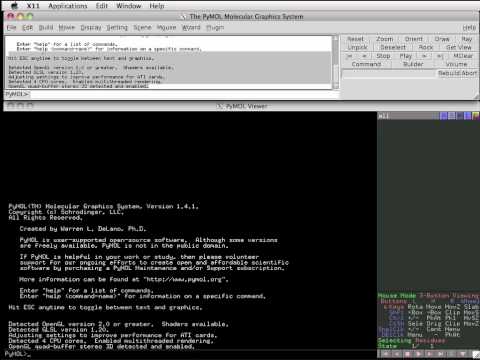 Understanding The PyMOL User Interface