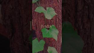 &quot;Friday vibes: embracing the calm before the weekend unwinds.&quot; #arrahman #love #song #nature #peace