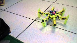 Hexabot