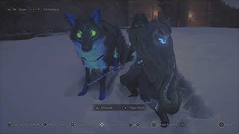 Assassins Creed Valhalla - Photo Mode Snow Bug