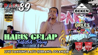 Paka 89 Music | Habis Gelap Terbitlah Terang | Live Tanjung Batu Sebrang | WD Yogi And Siska