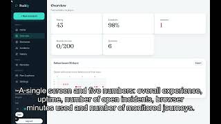 What is the Overview page?