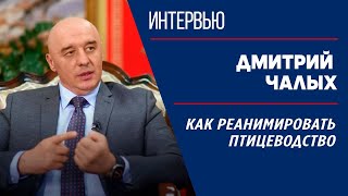 Птицеводство яичного направления: как развиваться без господдержки? | Интервью