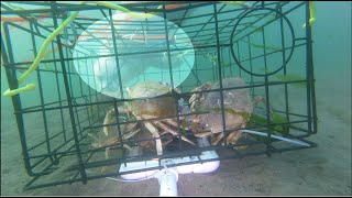 Underwater Gopro In Crab Trap -  Seal Attacking My Trap