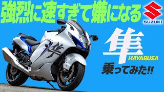 SUZUKI 隼 乗ってみた！【モトブログ】SUZUKI HAYABUSA 2023 MODEL Motorcycle review in Japan