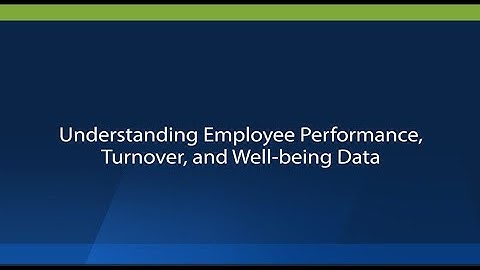 Understanding Employee Performance, Turnover, and Well-Being Data