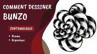 Comment dessiner le tangle Bunzo 