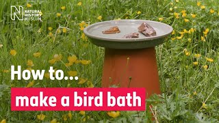 How to make a bird bath | Natural History Museum (Audio Described) by Natural History Museum 224 views 3 weeks ago 1 minute, 21 seconds