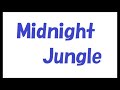 Midnight Jungle/矢沢永吉_357 cover by 感謝