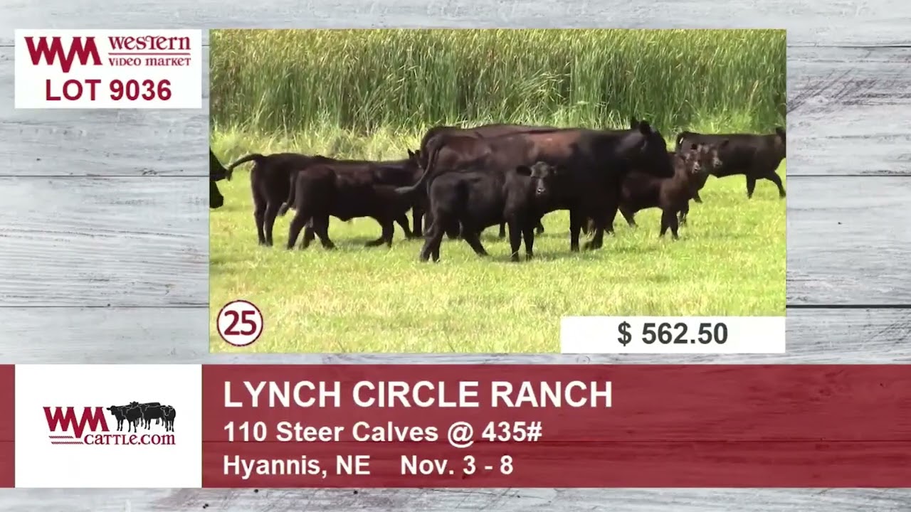 Lynch Circle Ranch 09/16/25 