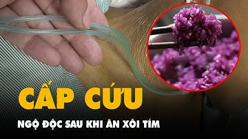 Hai người nhập viện cấp cứu, vàng da toàn thân sau khi ăn xôi tím