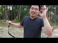 Ming Dynasty Sicai Bow By AF Archery Ming Dynasty Sicai Bow By AF Archery